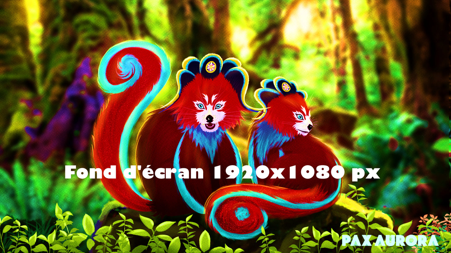 Fond d’écran “Les Pandas Rouges” – Ordinateur